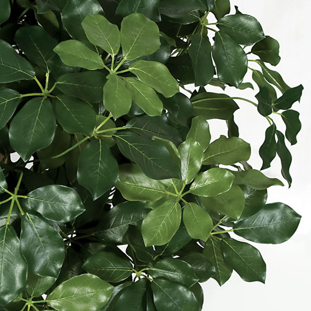 45"Hx35"W Artificial Schefflera Leaf Ball-Shaped Artificial Topiary Tree w/Pot -Green - Image 2