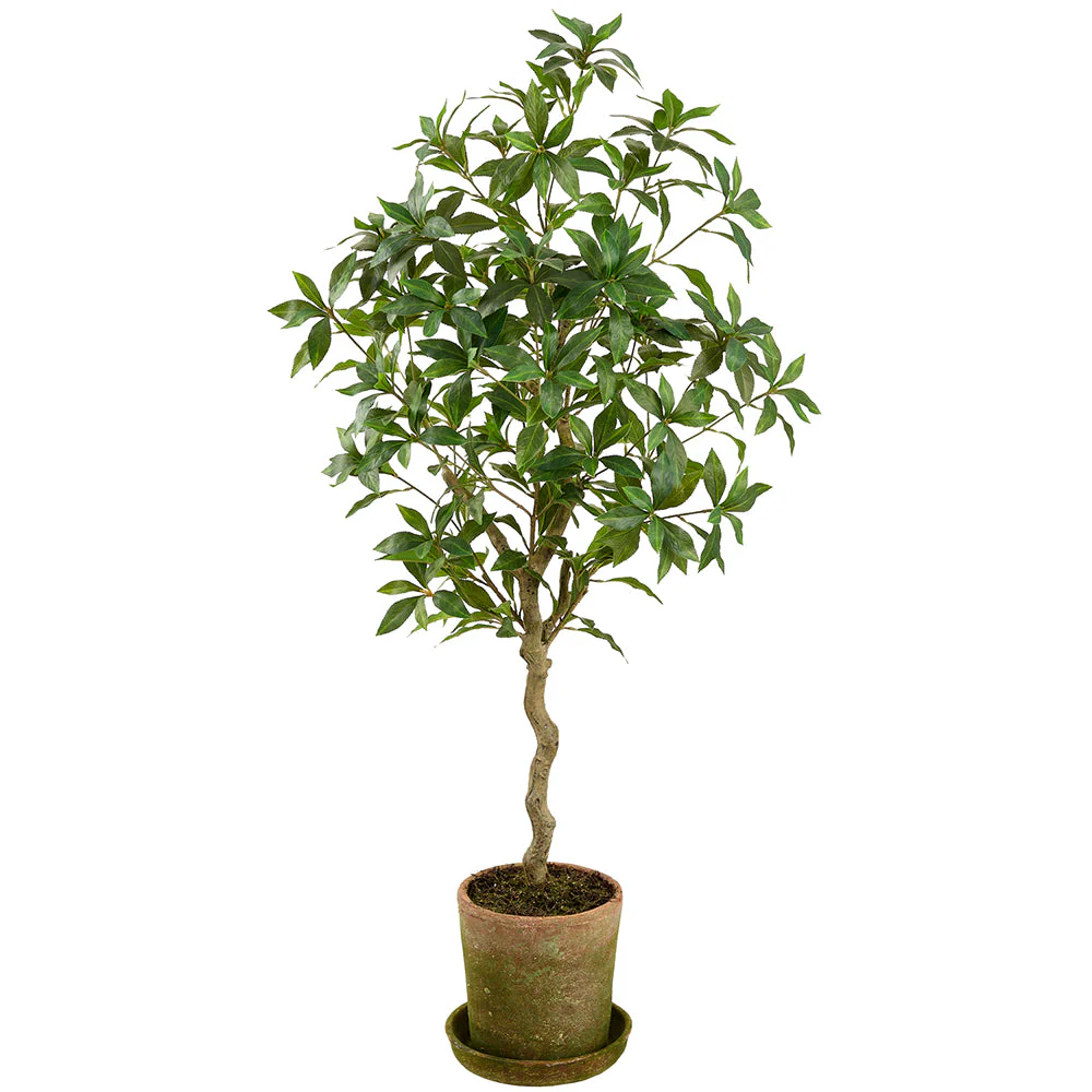 46.5" Pieris Japonica Silk Tree w/Mgo Planter -Green (Pack of 2)