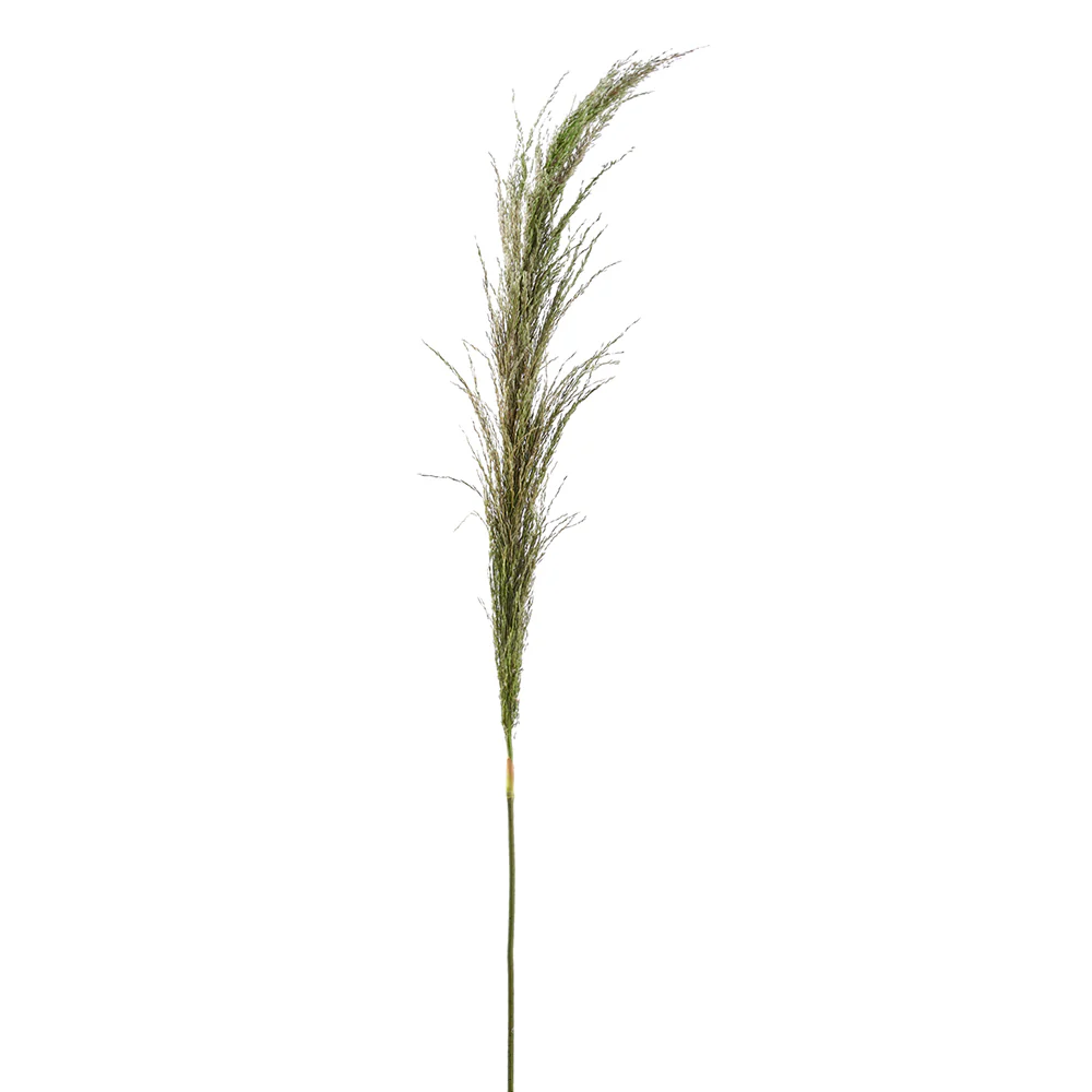 46" Artificial Pampas Grass Stem -Green (Pack of 12)