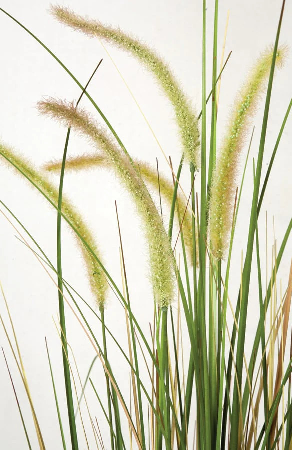 46" IFR PVC Foxtail Onion Grass Artificial Plant w/Pot -Cream/Green (Pack of 2) - Image 2