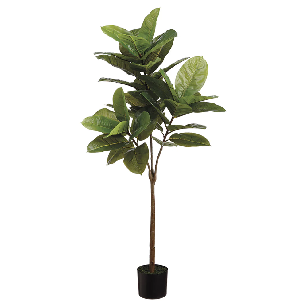 4'6" Rubber Leaf Silk Tree w/Pot -Green (Pack of 4)