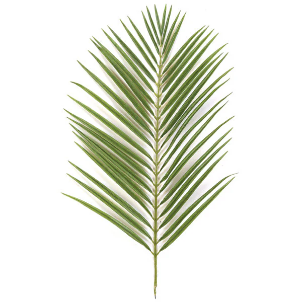 46" Silk Areca Palm Branch Stem -2 Tone Green (Pack of 12)