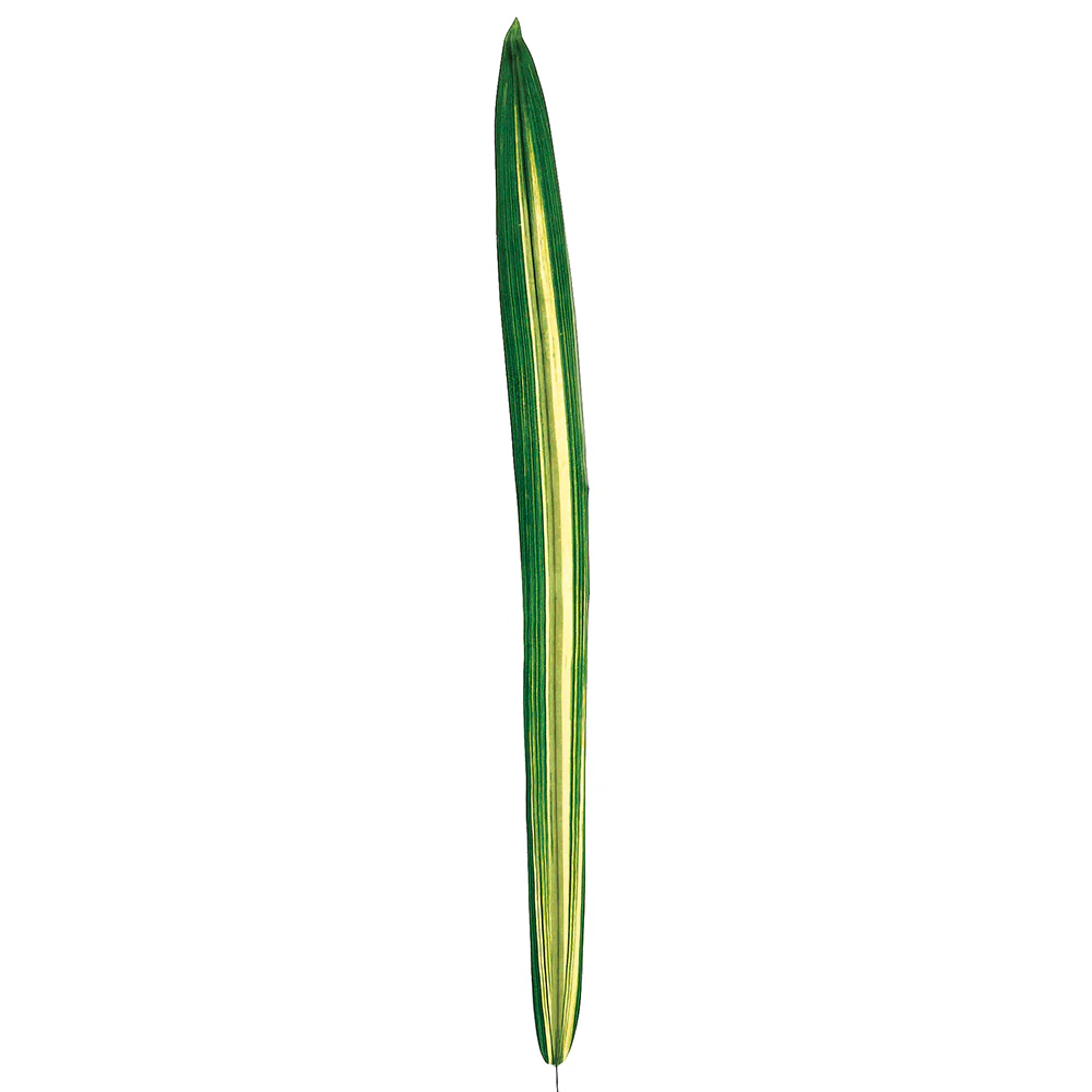 46" Silk Large Carex Leaf Stem -Green (Pack of 12)