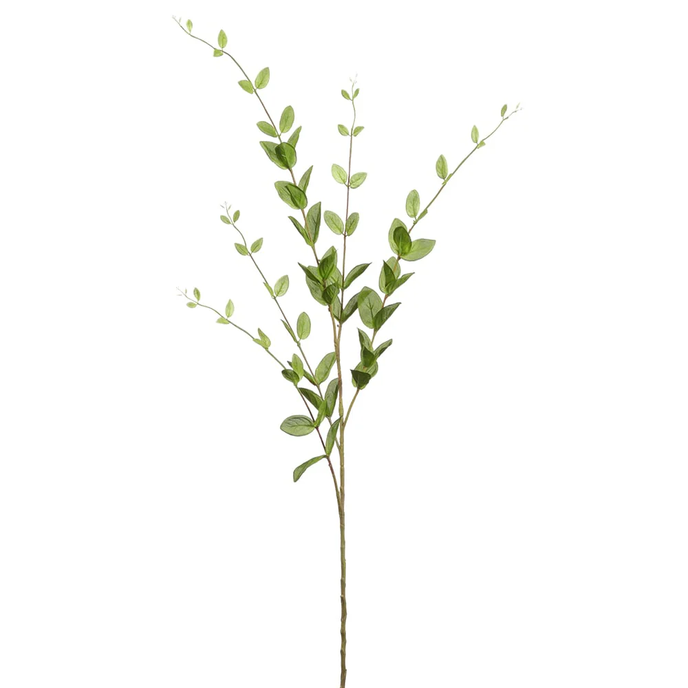 46" Silk Lonicera Leaf Stem -Light Green (Pack of 12)