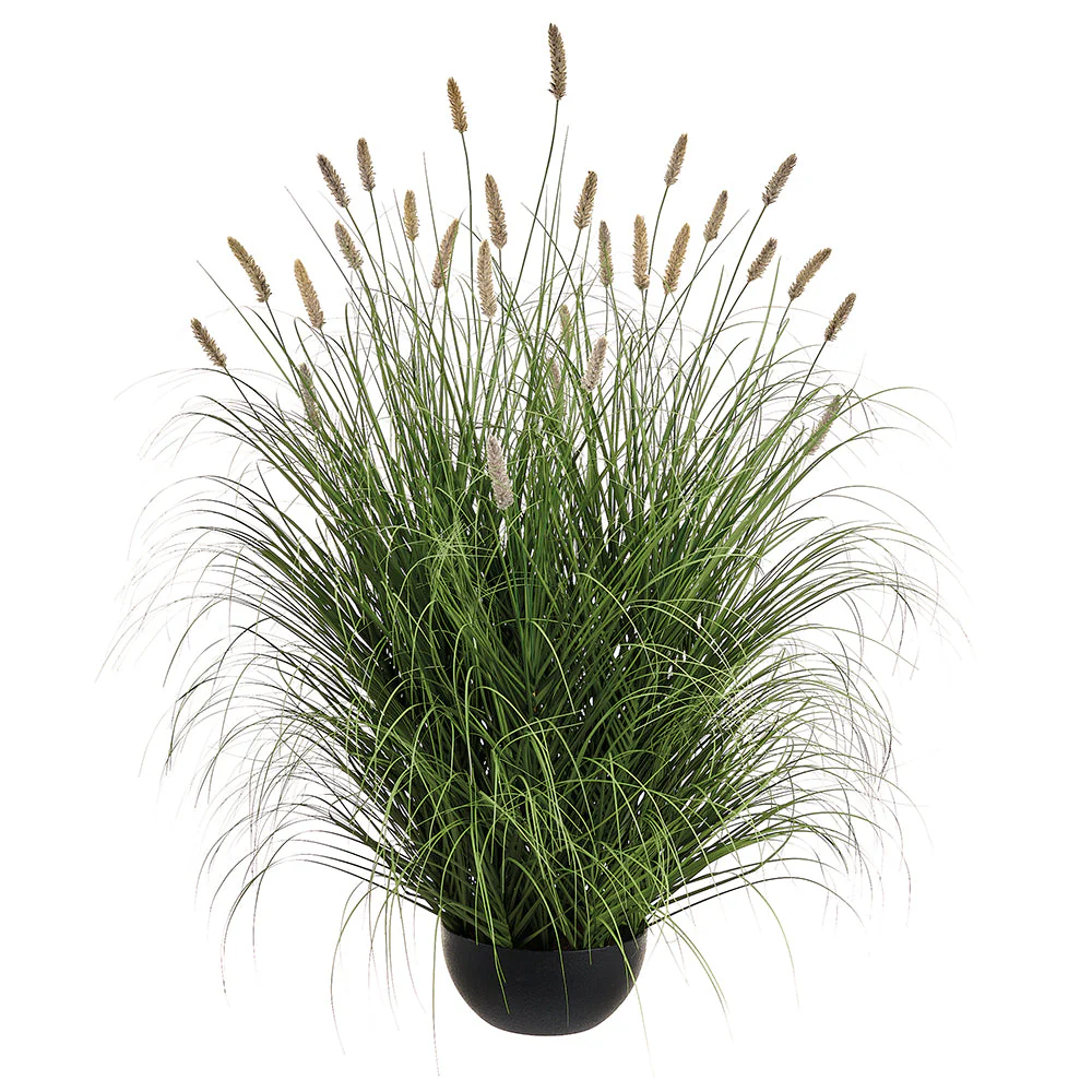 47" Foxtail Grass Artificial Plant w/Plastic Pot -Beige/Green (Pack of 2)