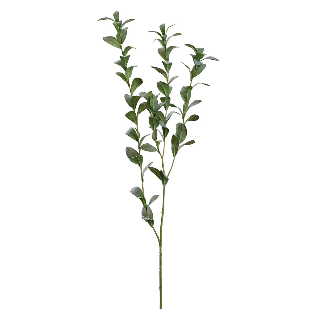 47" Ruscus Hypophyllum Leaf Artificial Stem -Green/Gray (Pack of 6)