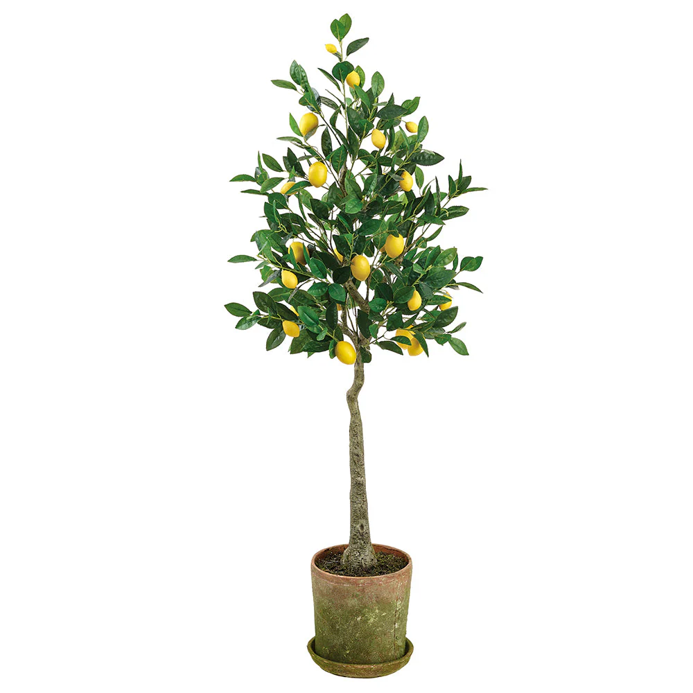 4'7" Silk Lemon Fruiting Tree w/Mgo Planter -Yellow (Pack of 2)