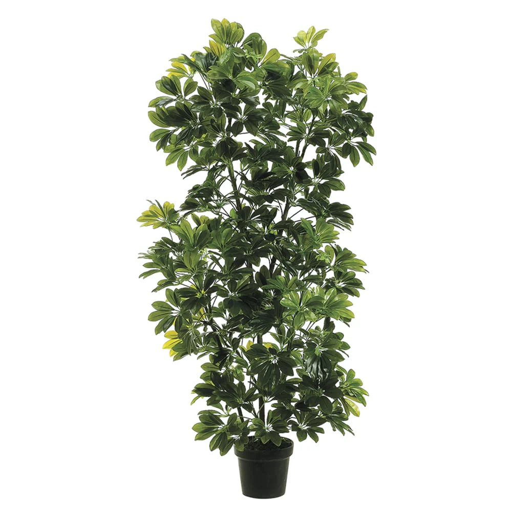 4'8" EVA Schefflera Artificial Tree w/Pot -Green (Pack of 2)