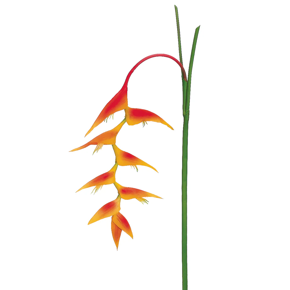 48" Hanging Heliconia Silk Flower Stem -Orange/Yellow (Pack of 12)