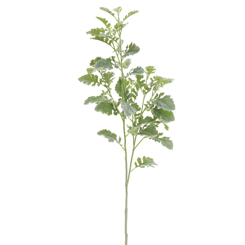 48" Silk Dusty Miller Stem -Green/Gray (Pack of 6)