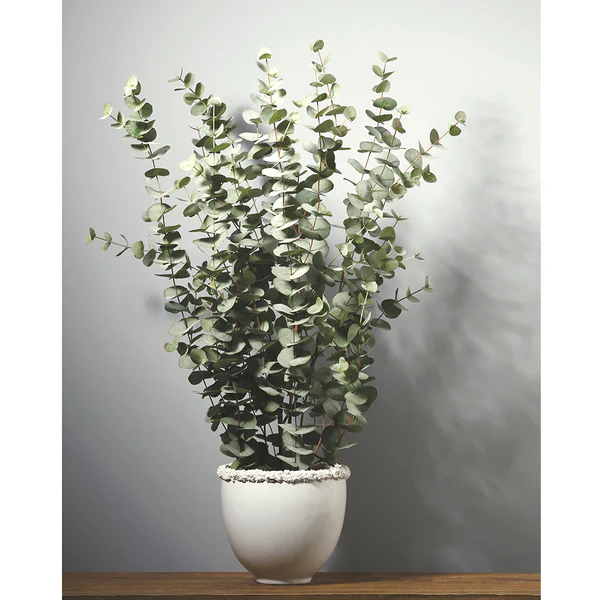48" Silk Eucalyptus Plant w/Ceramic Vase -Green - Image 2