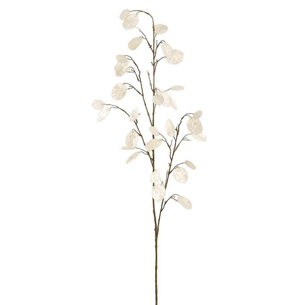 48" Silver Dollar Lunaria Leaf Silk Stem -Cream (Pack of 12)
