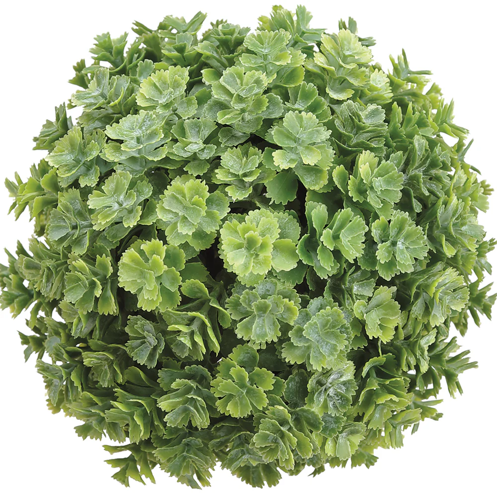 5.5" Real Touch Artificial Sedum Succulent Ball-Shaped Topiary -Green (Pack of 6)