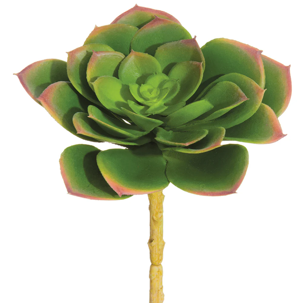 5.5"Hx4.5"W Outdoor UV-Resistant Soft-Touch Artificial Echeveria Stem Pick -Green/Lavender (Pack of 12)