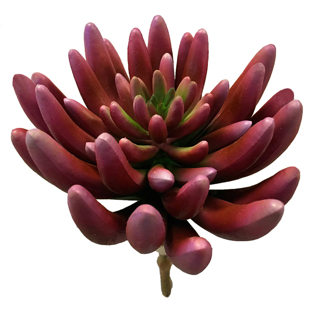 5.5"HX6"W IFR Artificial Aeonium Stem -Burgundy/Green (Pack of 6)