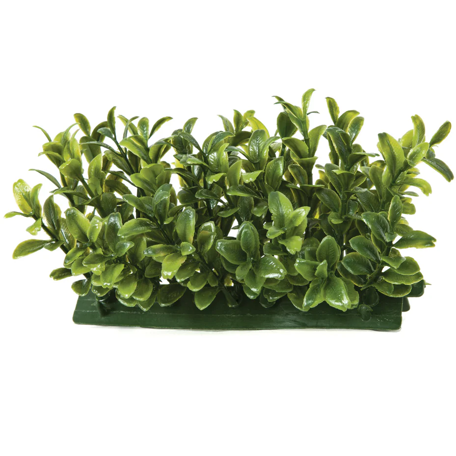 5.5"Wx3"H Outdoor UV-Proof Artificial English Boxwood Mat Edge -2 Tone Green (Pack of 12)
