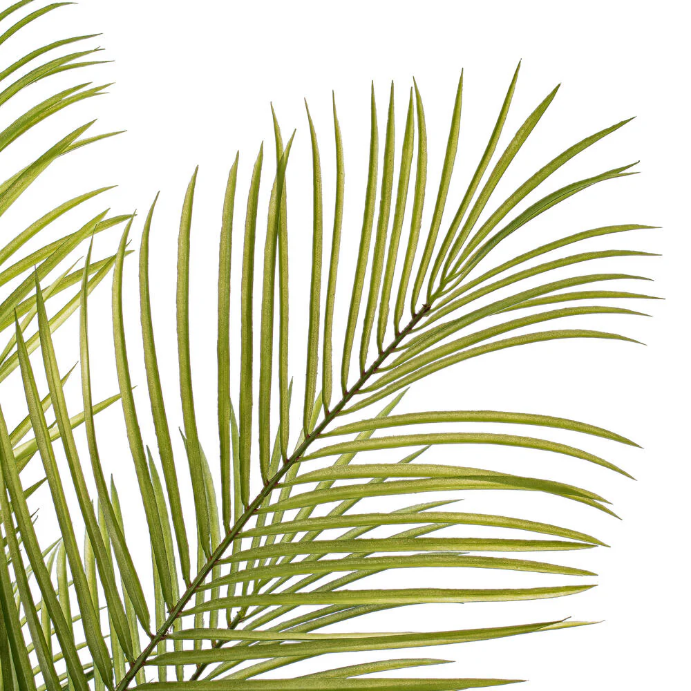 5' Areca Silk Palm Tree w/Plastic Pot -Green - Image 2