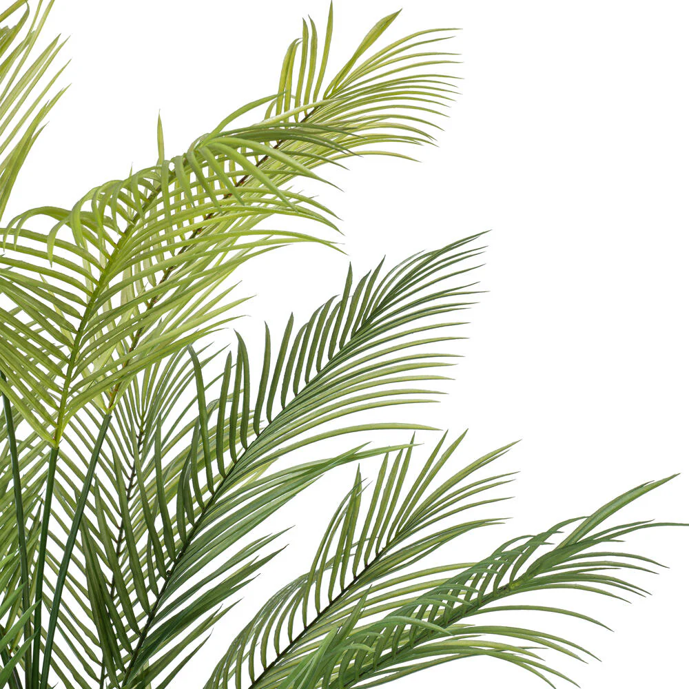 5' Areca Silk Palm Tree w/Plastic Pot -Green - Image 4