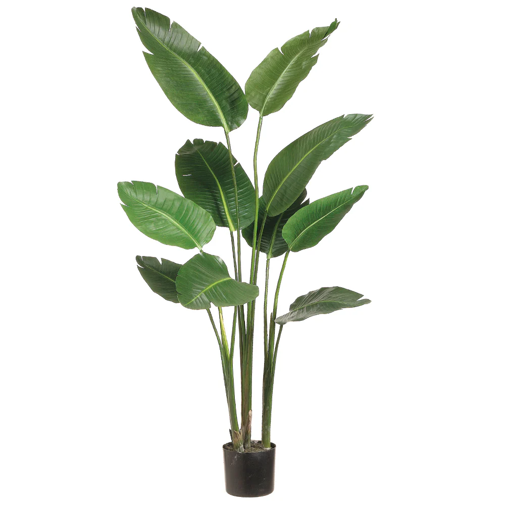 5' Bird Of Paradise Silk Palm Tree w/Pot -Green
