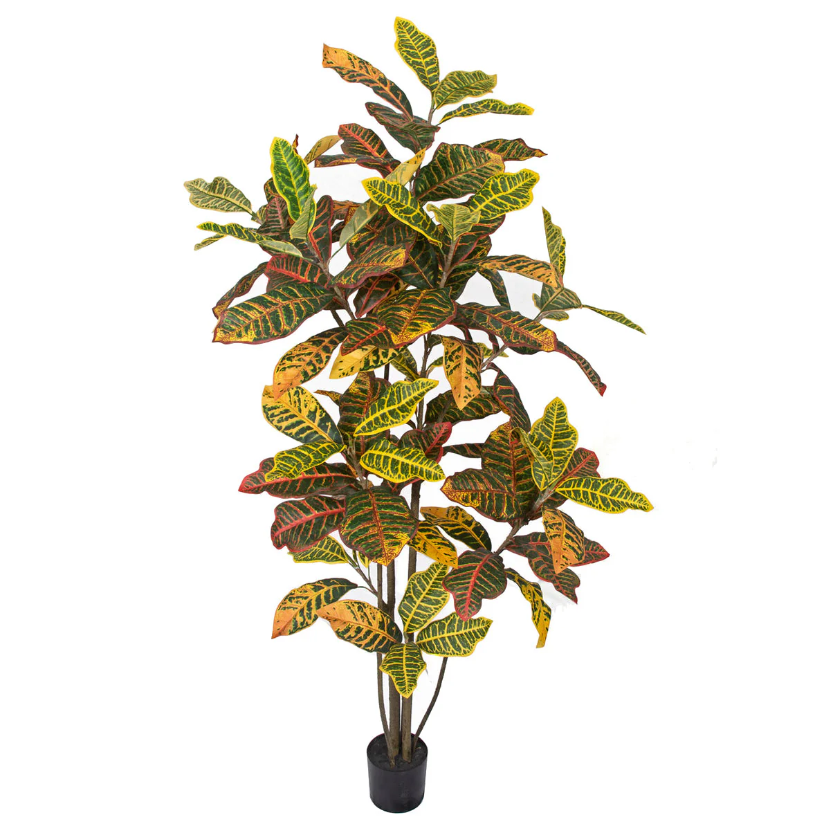 5' Croton Leaf Silk Plant w/Pot -Green/Red