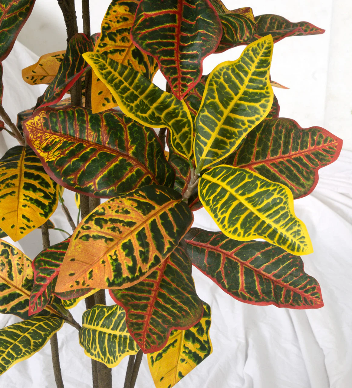 5' Croton Leaf Silk Plant w/Pot -Green/Red - Image 2