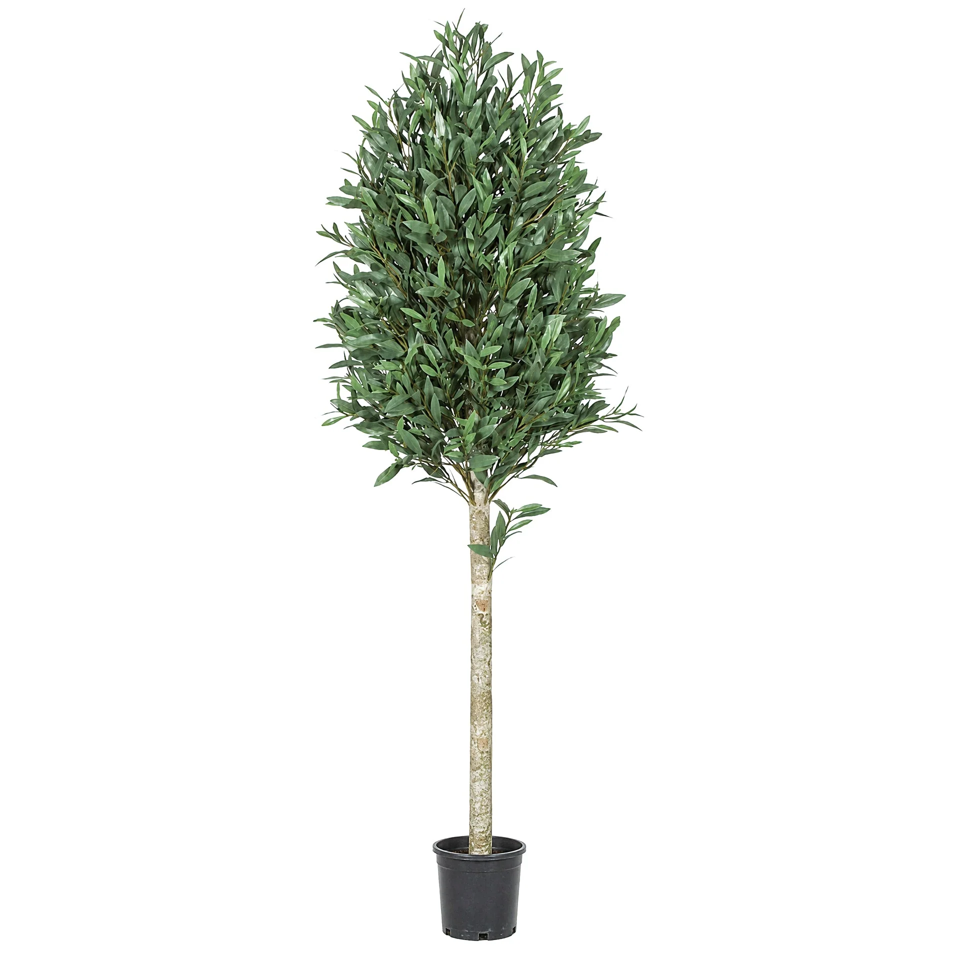 5' Custom-Made Outdoor UV-Proof Artificial Cone-Shaped Topiary Olive Tree w/Pot -Green