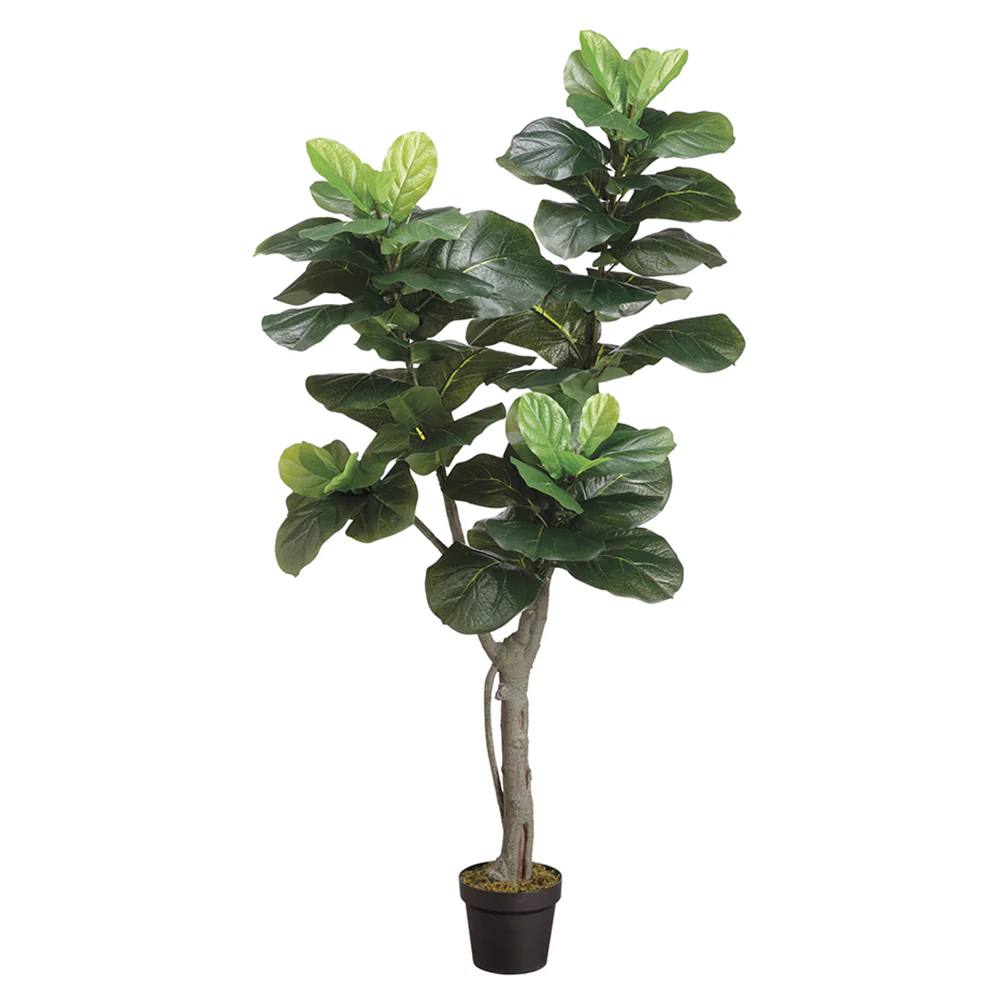 5' Fiddle Leaf Fig Artificial Tree w/Pot -Green (Pack of 2)