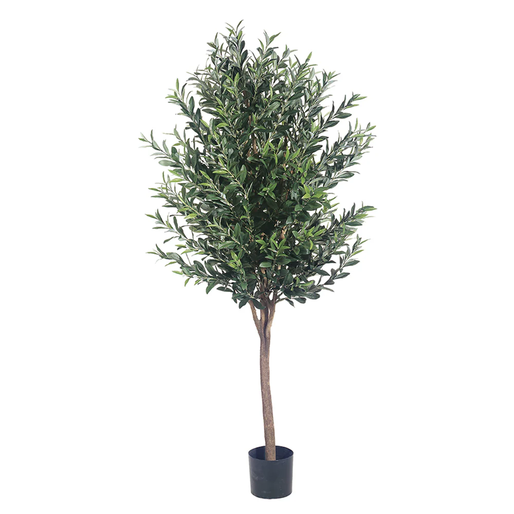 5' Olive Silk Tree w/Pot -2 Tone Green (Pack of 2)