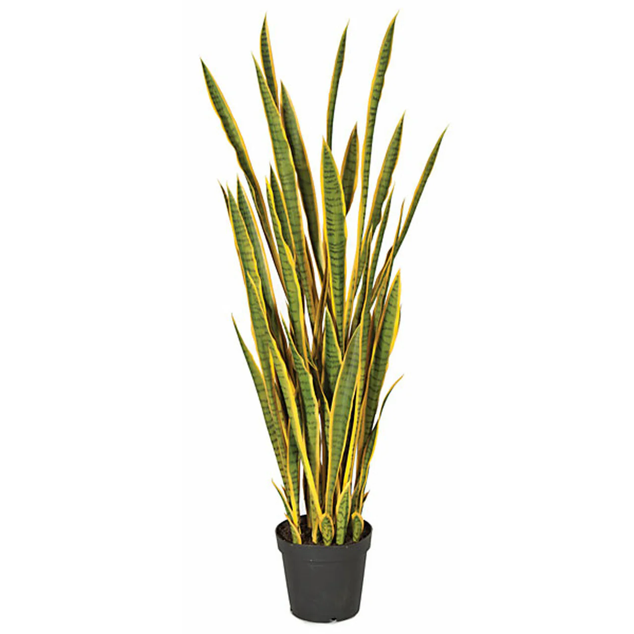 5' Sansevieria Snake Artificial Plant w/Pot -Green/Yellow