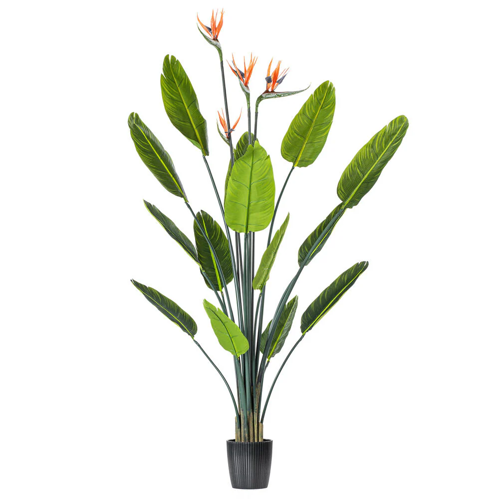 5' Silk Bird Of Paradise Palm Tree w/Plastic Pot -Green
