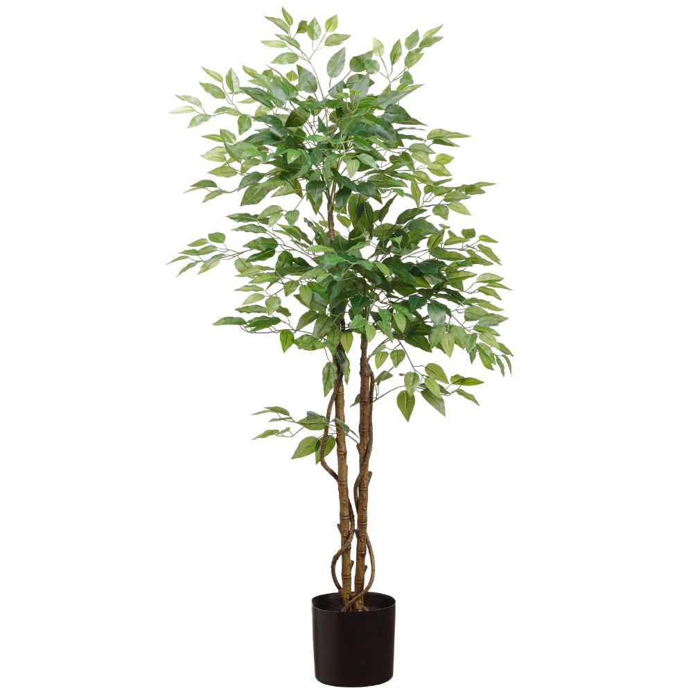 5' Silk Ficus Tree w/Pot -Green (Pack of 2)