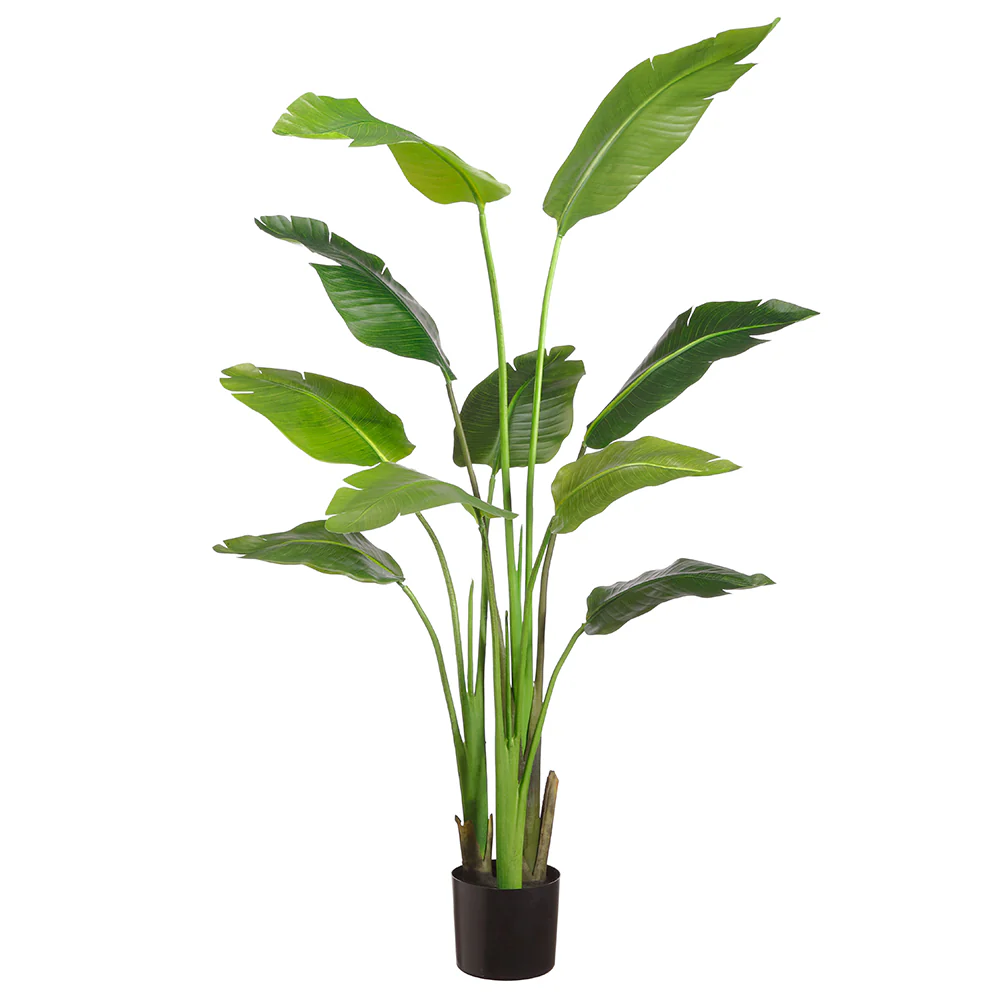 5' Silk Travelers Palm Tree w/Plastic Pot -Green (Pack of 2)