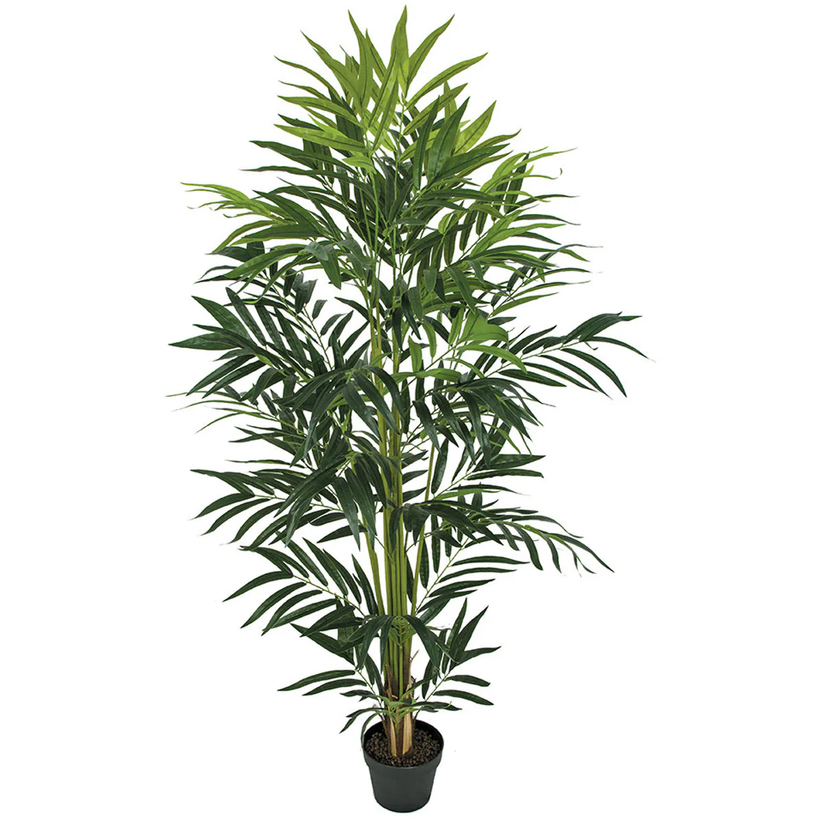 5' Soft-Touch Silk Bella Parlor Palm Tree w/Pot -Green (Pack of 2)