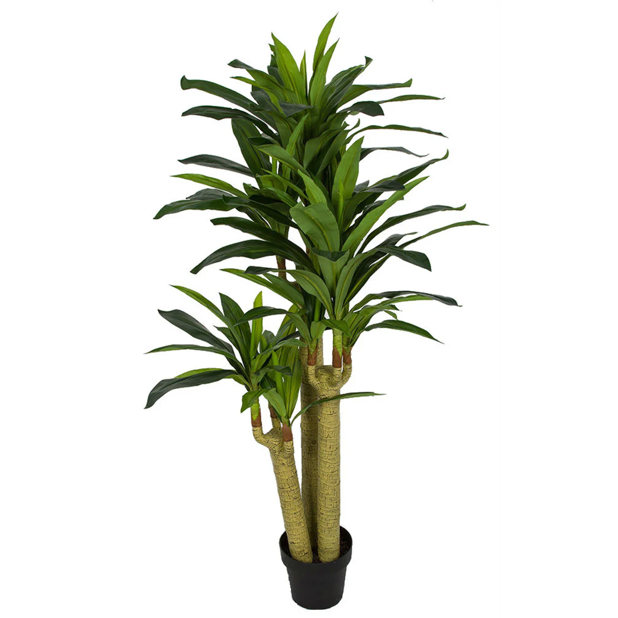 5' Soft-Touch Triple Trunk Dracaena Corn Plant Silk Tree w/Pot -Green