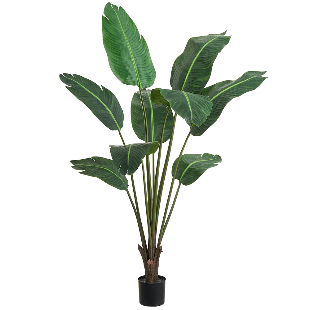 5' Travelers Silk Palm Tree w/Plastic Pot -Green (Pack of 2)