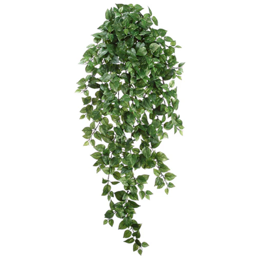 51" Medium Pothos Silk Hanging Plant -547 Leaves -2 Tone Green (Pack of 6)