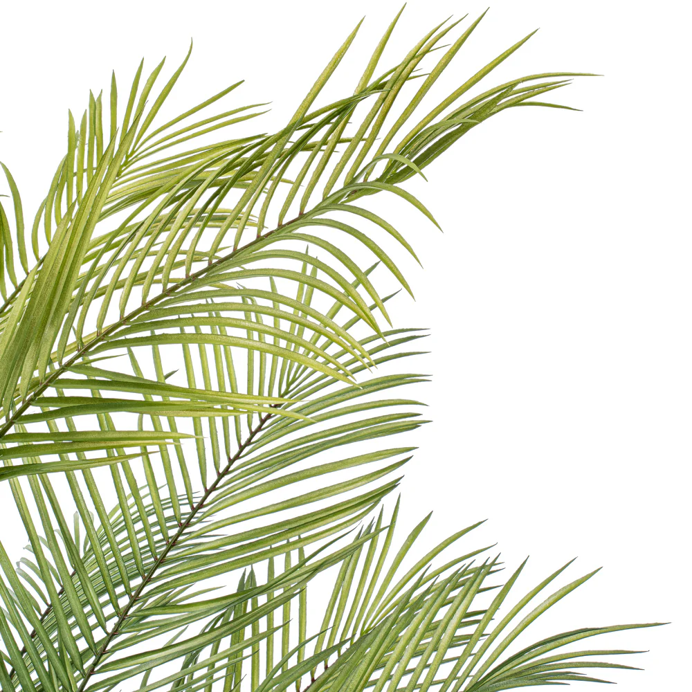 5'10" Areca Silk Palm Tree w/Plastic Pot -Green - Image 2