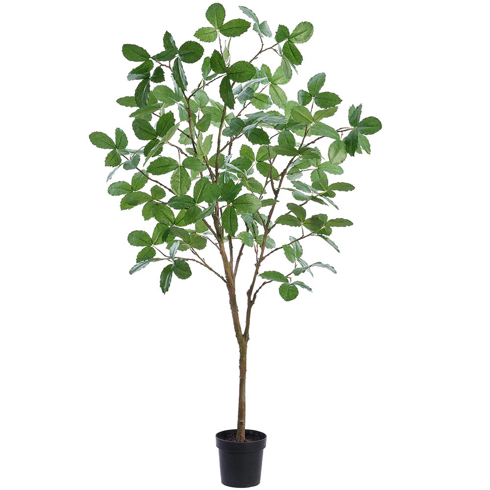 5'10" Elm Leaf Silk Tree w/Plastic Pot -Green