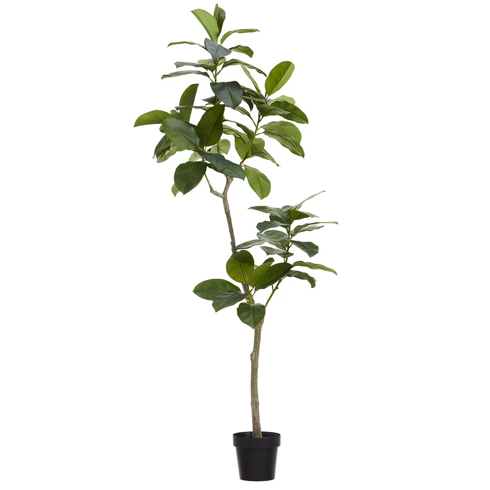 5'10" Ficus Altissima Leaf Silk Tree w/Pot -Green
