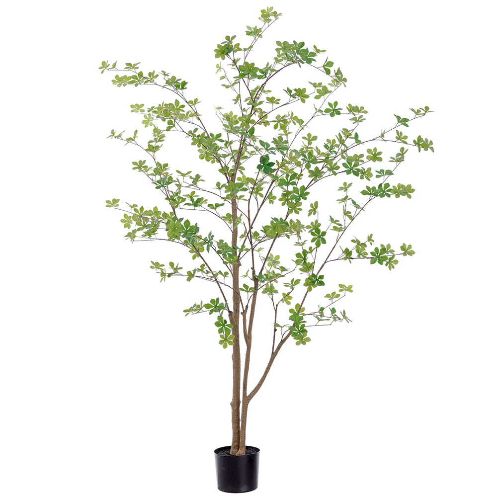 5'10" Mini Leaf Silk Tree w/Pot -Green (Pack of 2)