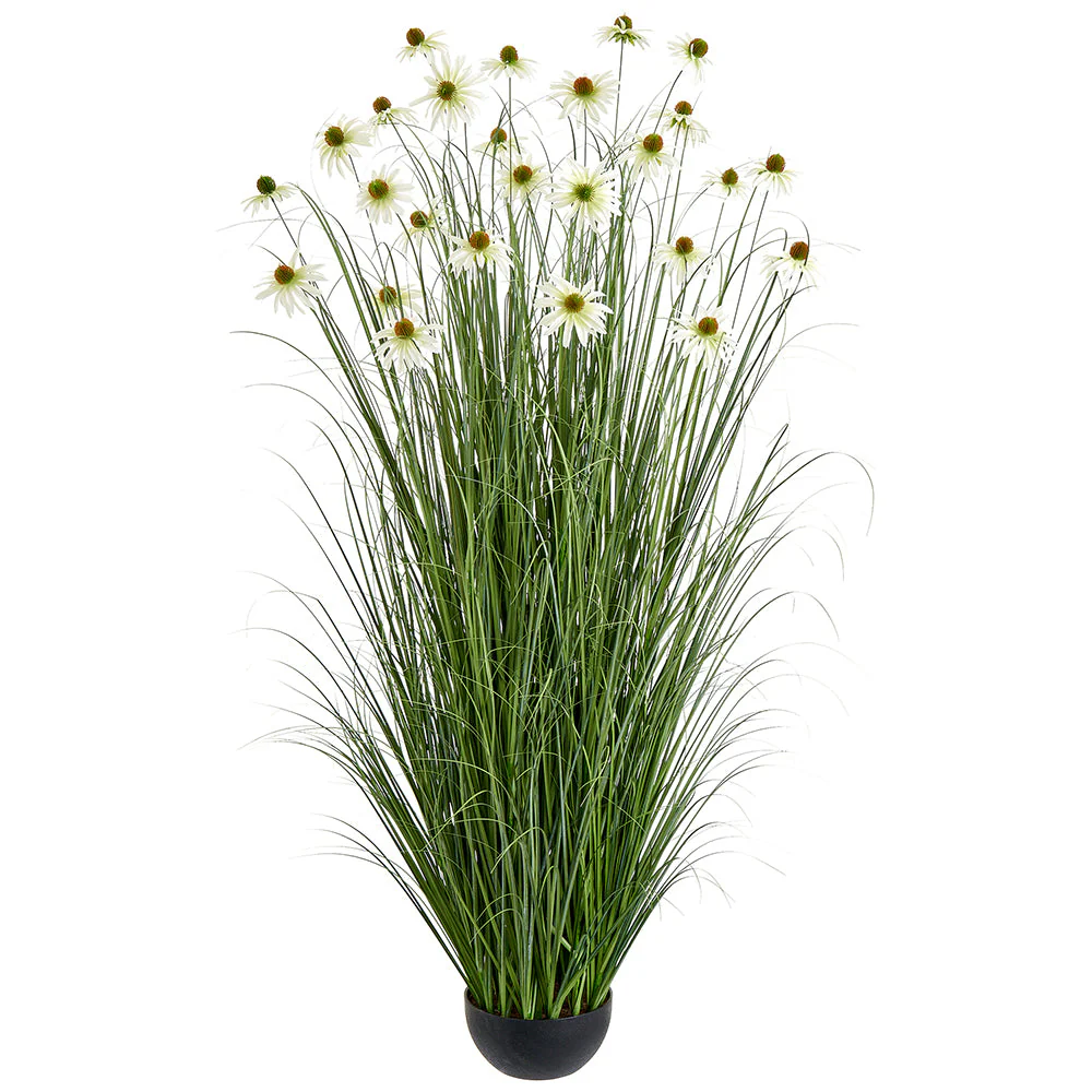 5'11" Black-Eyed Susan Flowering Grass Artificial Plant w/Plastic Pot -White (Pack of 2)