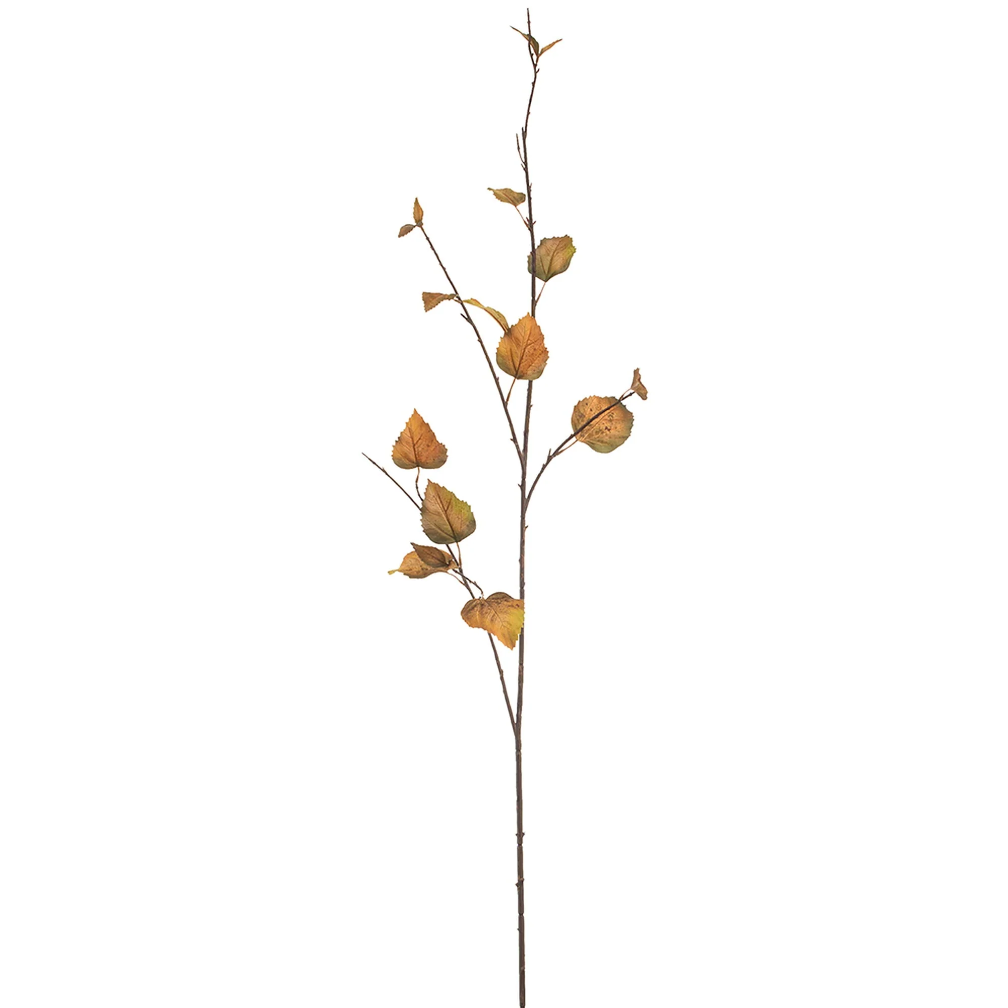 52" Birch Leaf Silk Stem -Brown (Pack of 12)