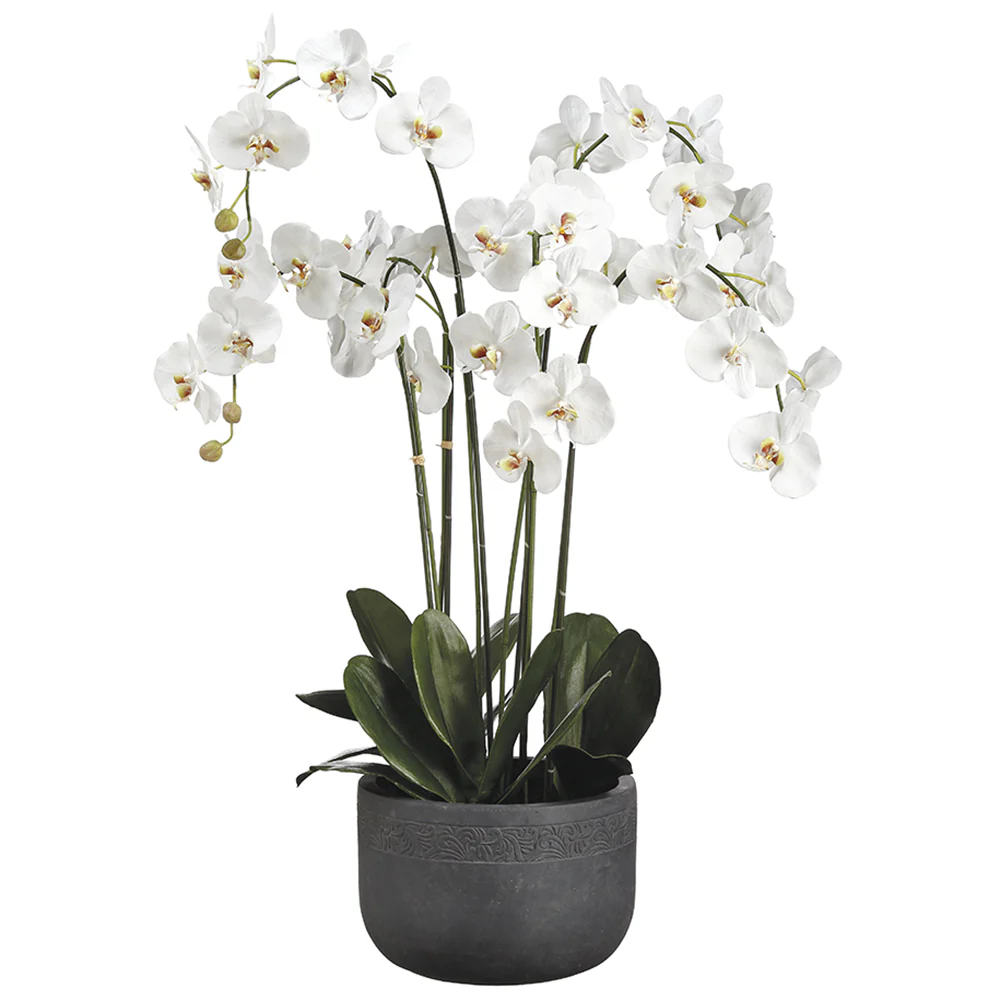 52" Phalaenopsis Orchid Silk Flower Arrangement -White
