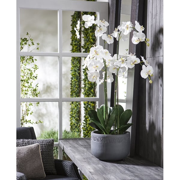 52" Phalaenopsis Orchid Silk Flower Arrangement -White - Image 2