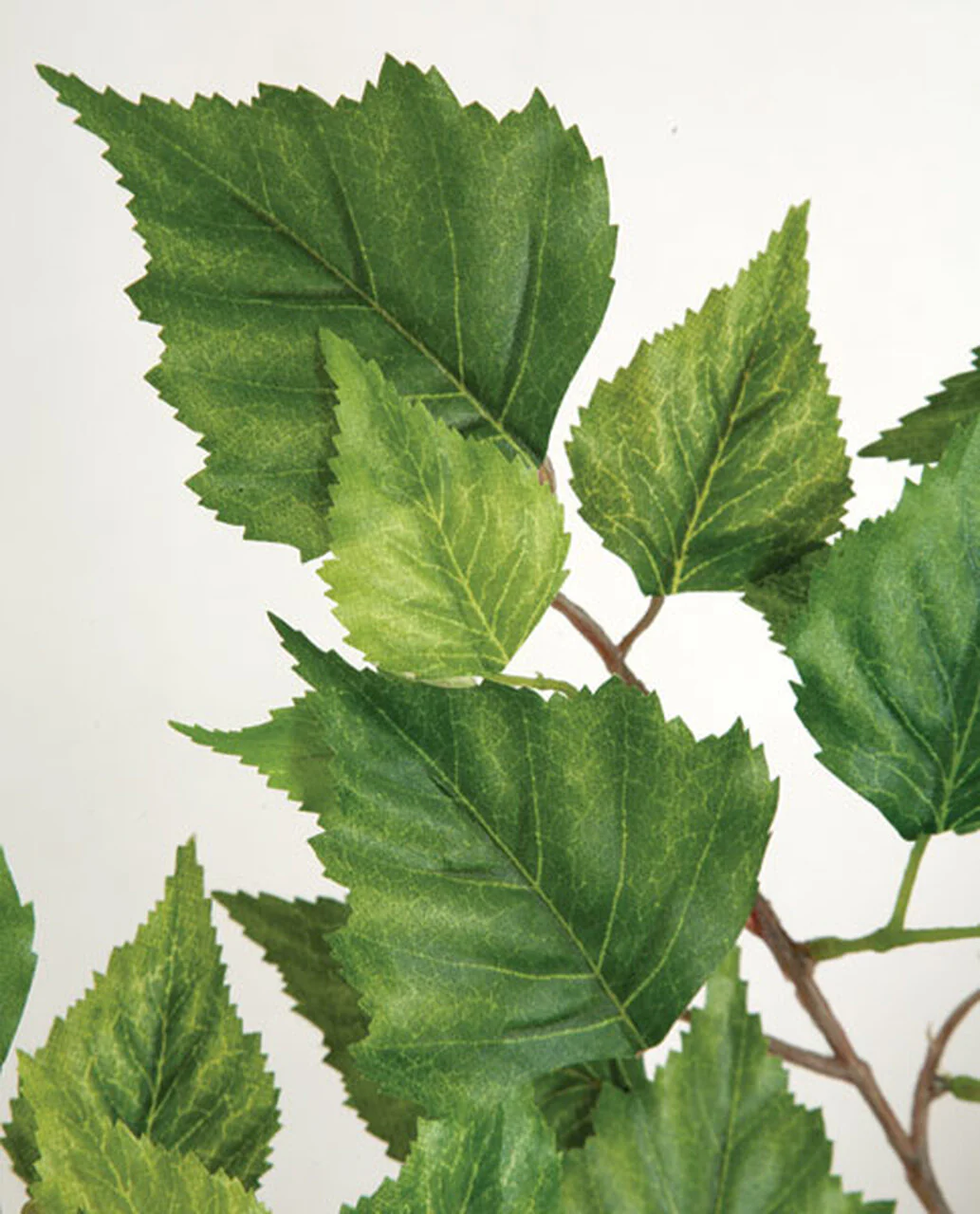 52" Silk Birch Leaf Stem -2 Tone Green (Pack of 6) - Image 2