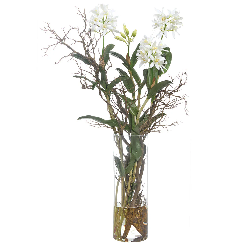 52"Hx32"W Star Cattleya Orchid & Branch Silk Flower Arrangement w/Glass Vase -Cream/Green