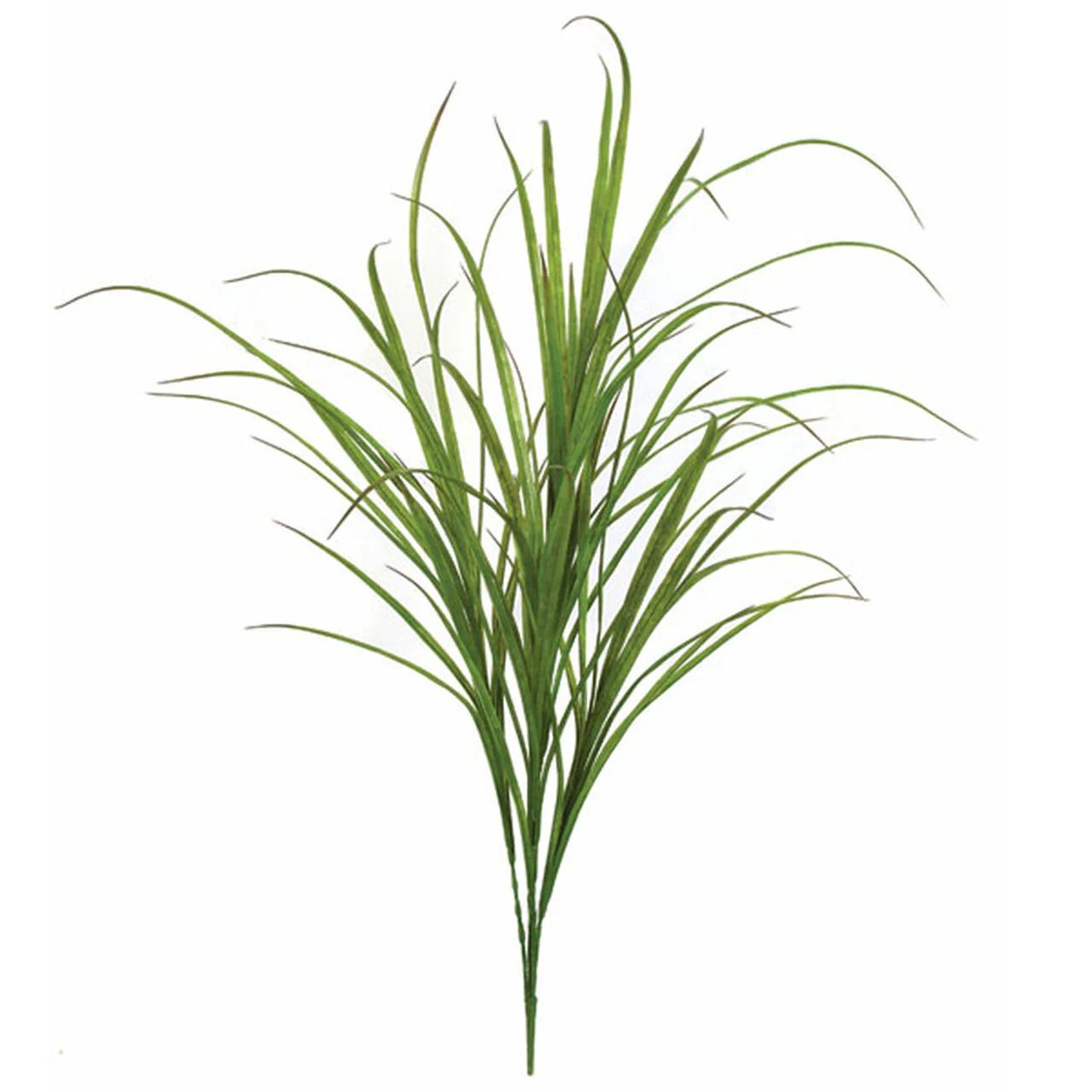 5'3" Artificial Cane Grass Plant -Green (Pack of 4)