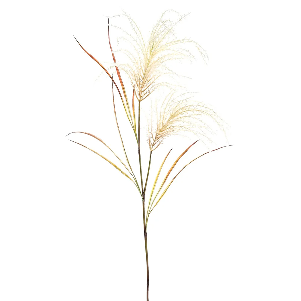 54" Artificial Reed Grass Stem -Cream (Pack of 12)
