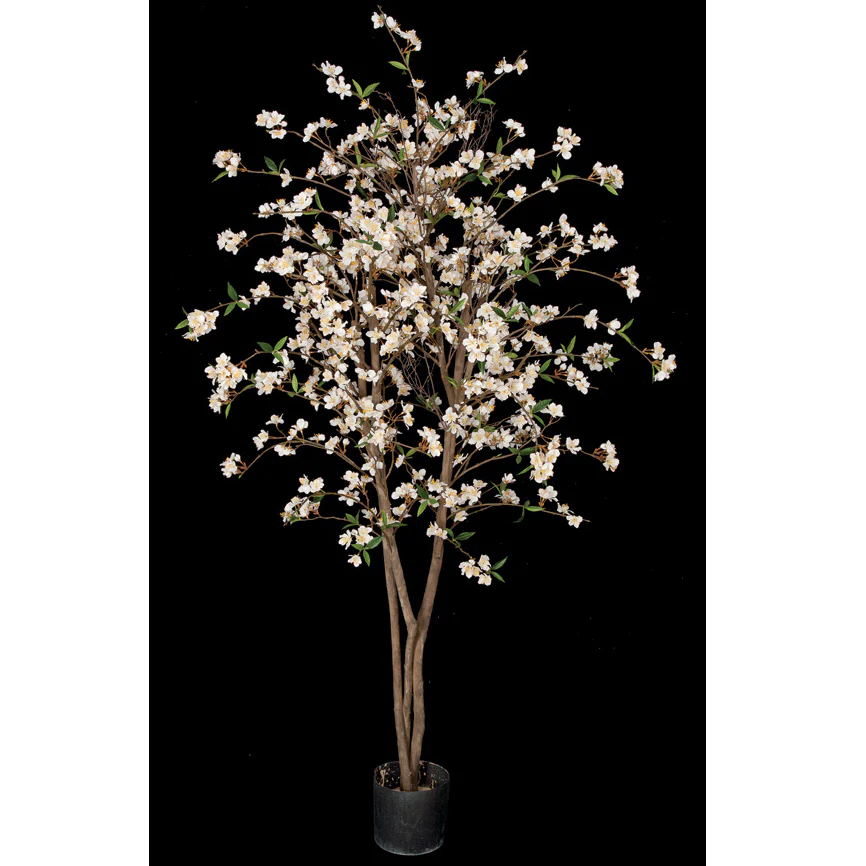 5'6" Cherry Blossom Flower Silk Tree w/Pot -Cream/White