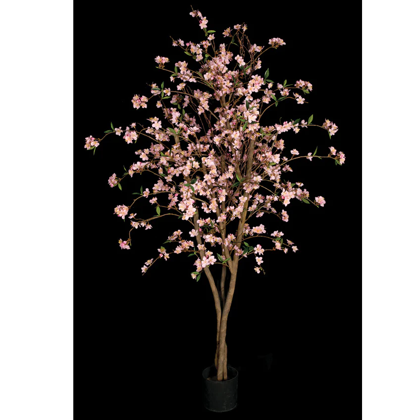 5'6" Cherry Blossom Flower Silk Tree w/Pot -Pink